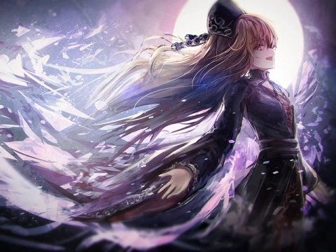 涡蜂聚合登录各种对接插件下载