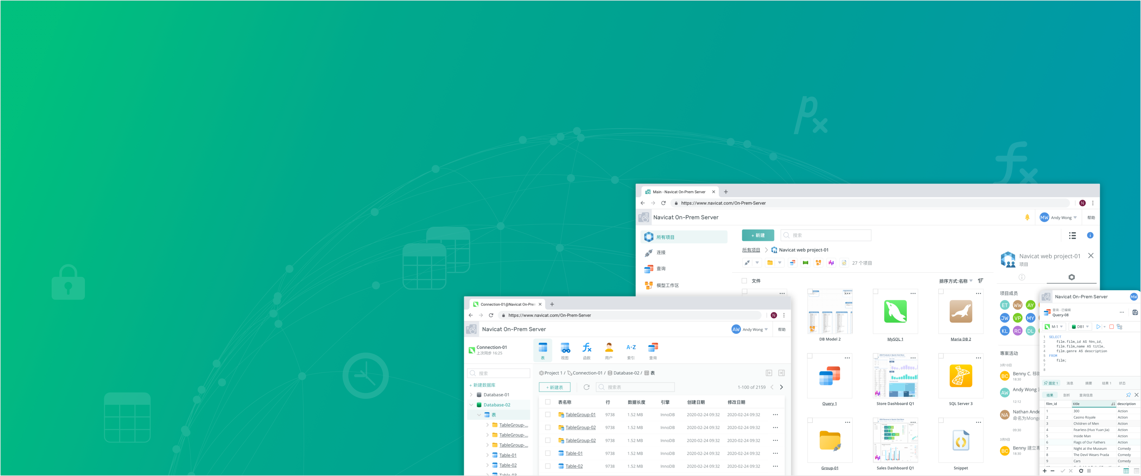 Navicat Premium 17.3.x补丁